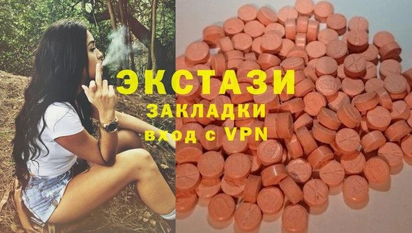 дмт Осташков