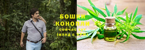 дмт Осташков