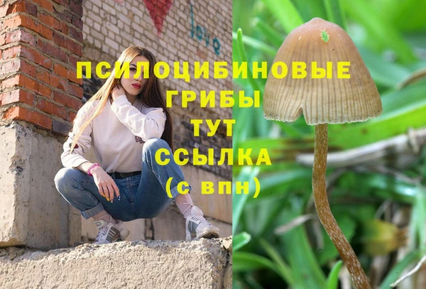 дмт Осташков