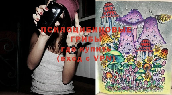 дмт Осташков